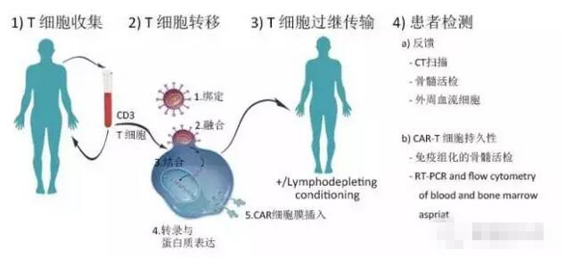 澳洲移民