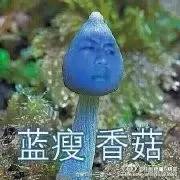 澳洲移民